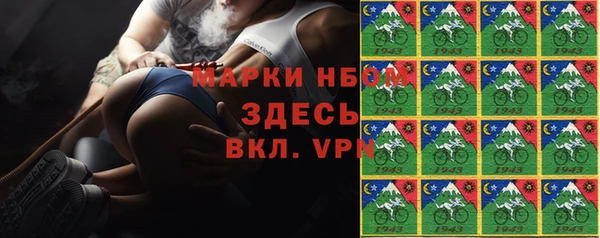 стаф Аркадак