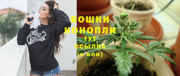 стаф Аркадак