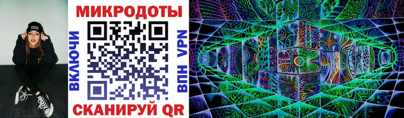 Псилоцибиновые грибы GOLDEN TEACHER купить закладку Плёс